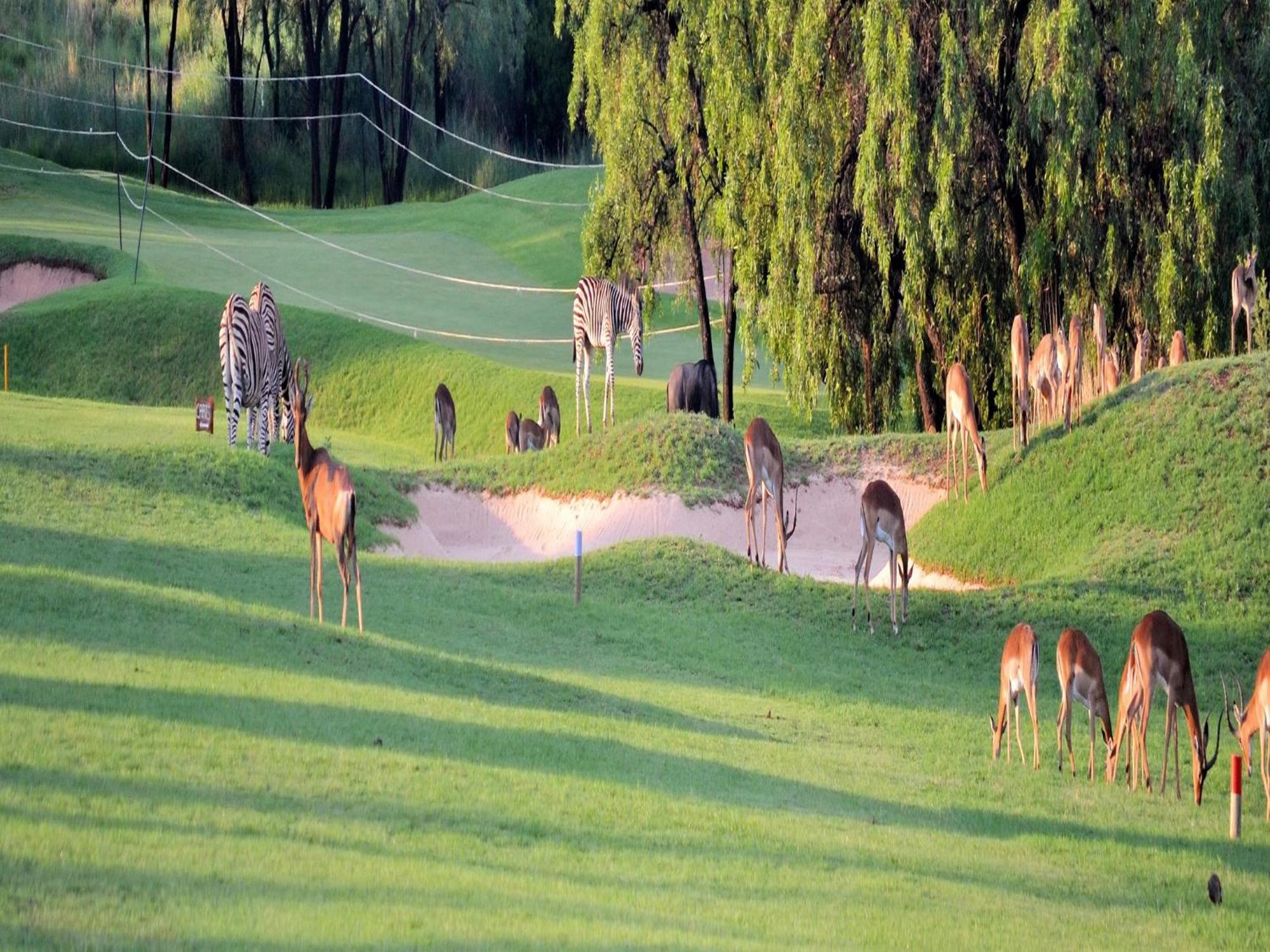 Elements Private Golf Reserve Villa Bela-Bela Dış mekan fotoğraf